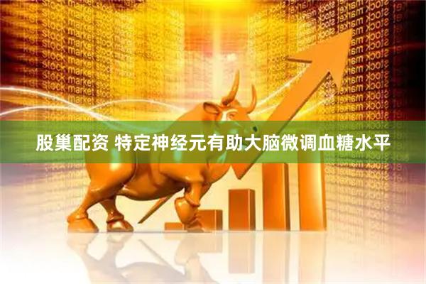 股巢配资 特定神经元有助大脑微调血糖水平