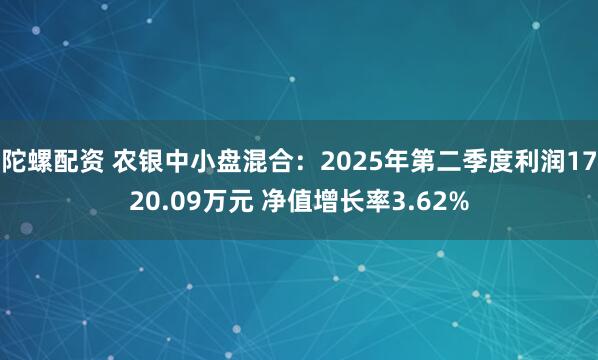陀螺配资 农银中小盘混合：2025年第二季度利润1720.09万元 净值增长率3.62%