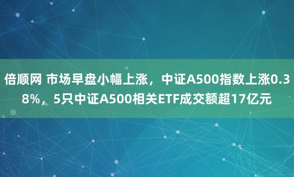 倍顺网 市场早盘小幅上涨，中证A500指数上涨0.38%，5只中证A500相关ETF成交额超17亿元