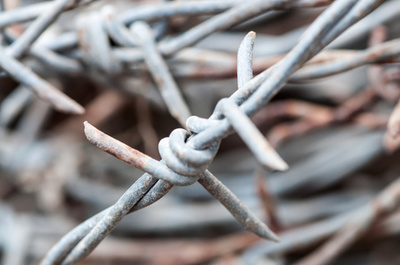 Barbed wire